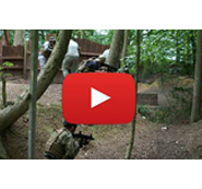 Paintball Goggle System